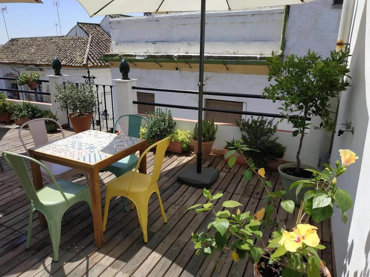 Hostal Esencia De Azahar قرطبة إسبانيا